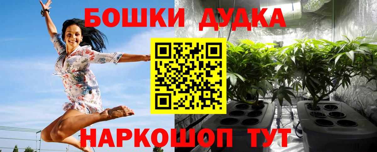 Конопля план  Вход с VPN  Бошки марихуана White Widow  Шишки марихуана сатива  Томск 